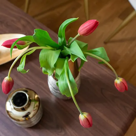 Decimo Meridio- At Spanish Steps- Guest house Rome