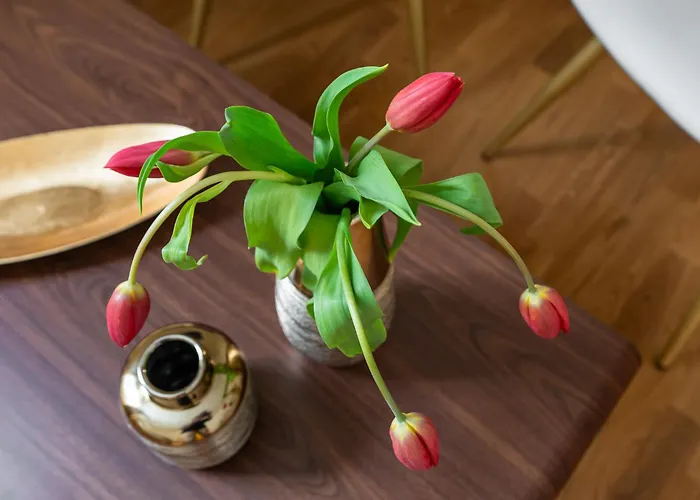 Decimo Meridio- At Spanish Steps- Guest house Rome